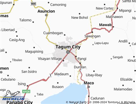 where is tagum davao located|MICHELIN Tagum City map .
